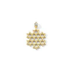 Gold Star of Solidarity Pendant